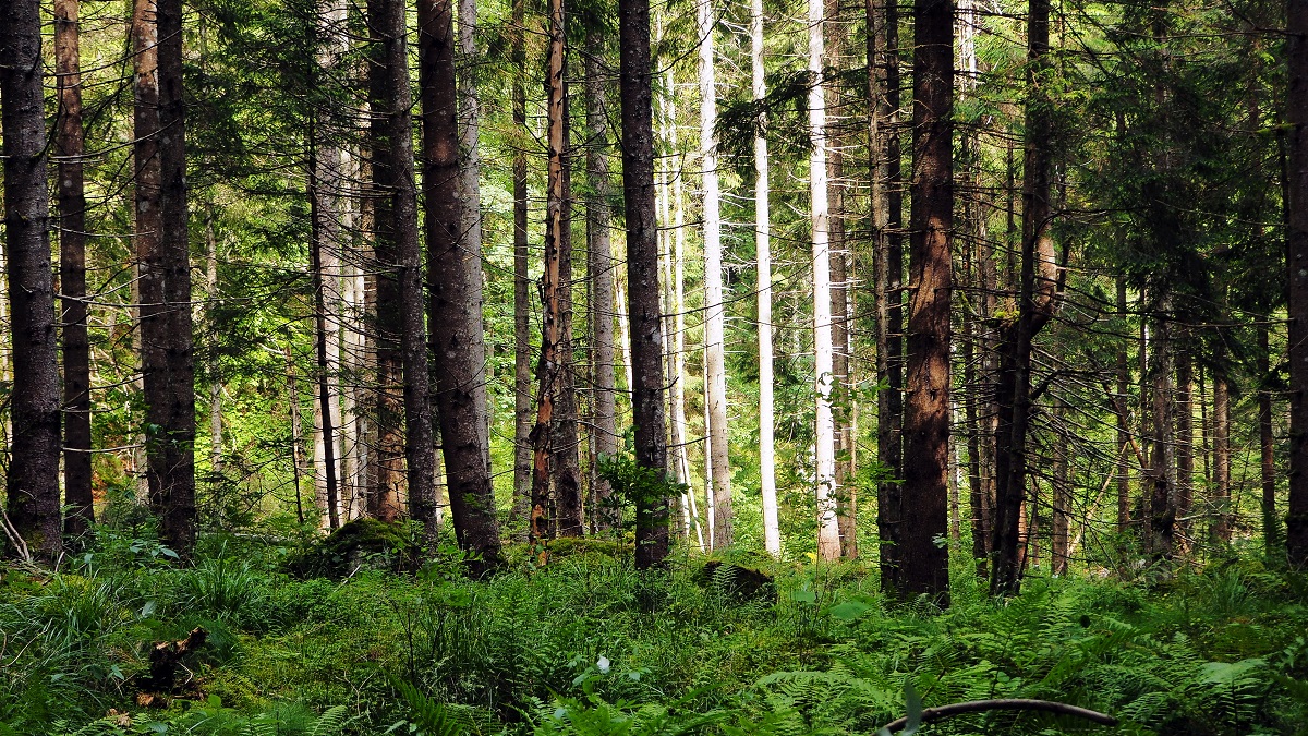 Facebook a ajuns ceva rău..