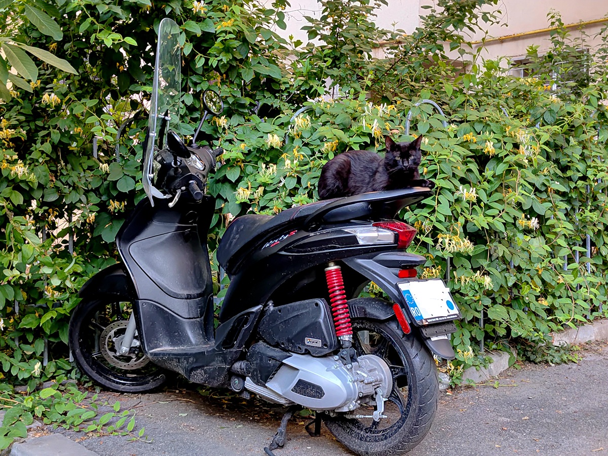 Cum e cu scuterul prin București